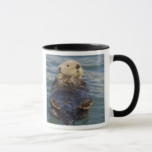 Sea otters play on icebergs at Surprise Inlet Mug