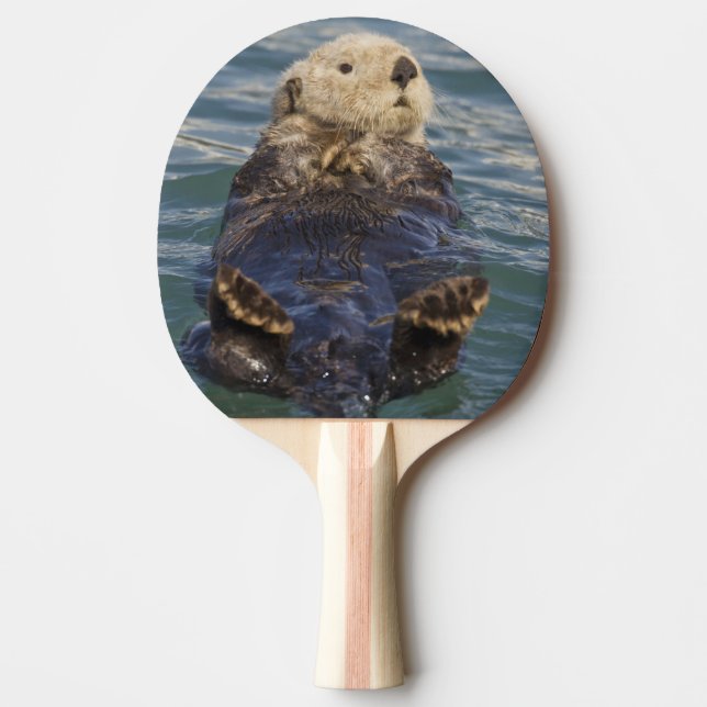Sea otters play on icebergs at Surprise Inlet Ping Pong Paddle (Front)