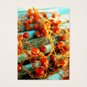 Sea plants
