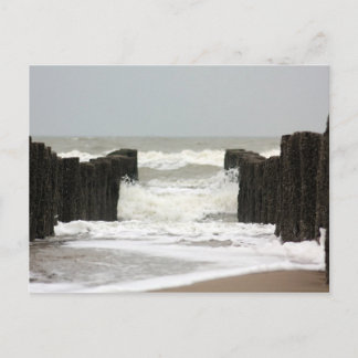 Sea Postcard