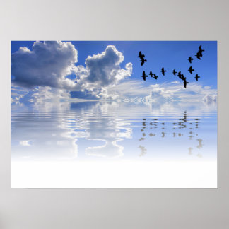 Sea Poster