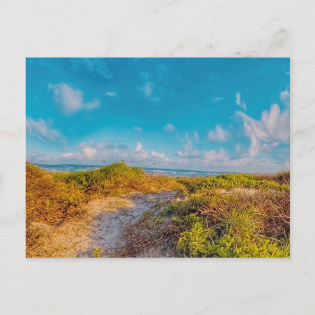 Sea Scape Postcard (Front)
