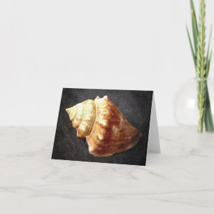 Sea Shell Blank Card
