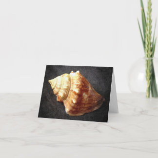 Sea Shell Blank Card