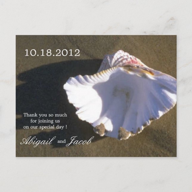 Sea Shell Brown Wedding thank you card (Front)