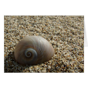 Sea Shell Card