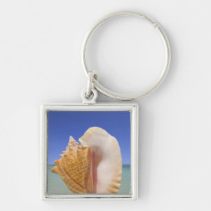 Sea Shell Close Up Keychain