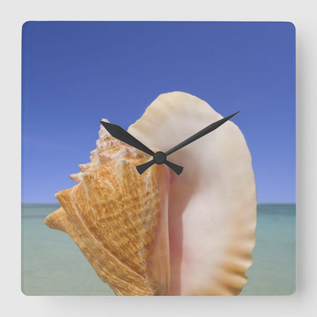 Sea Shell Close Up Square Wall Clock (Front)
