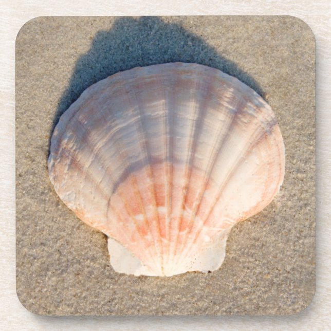 Sea Shell Laying On Sandy Beach Coaster (Front)