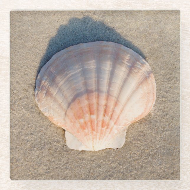Sea Shell Laying On Sandy Beach Glass Coaster (Front)