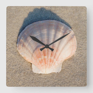 Sea Shell Laying On Sandy Beach Square Wall Clock