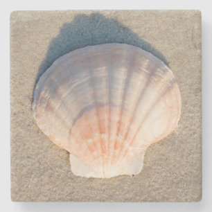 Sea Shell Laying On Sandy Beach Stone Coaster