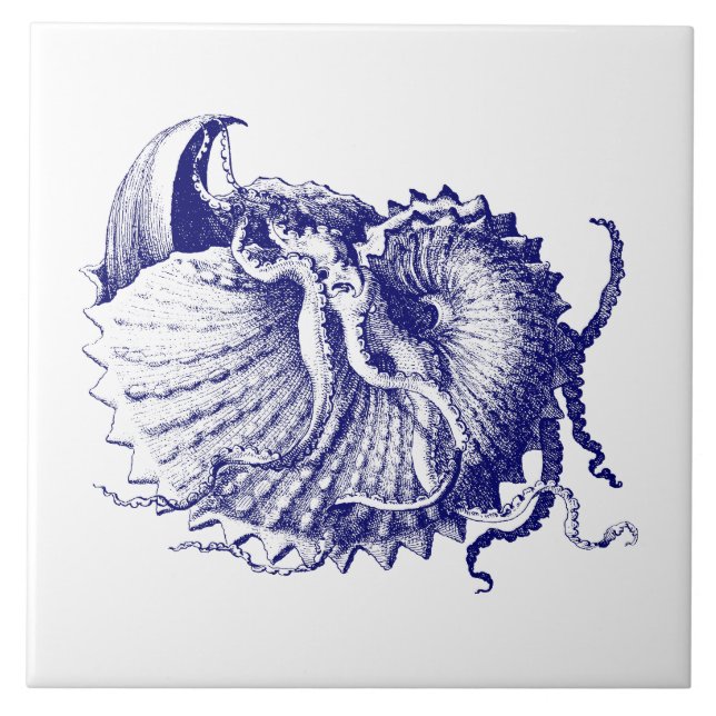 Sea shell Nautilus Blue & White Tile (Front)