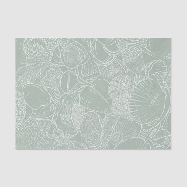 Sea Shell Sage Green Coastal Beach Decoupage Tissue Paper (Front)