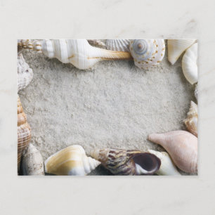 Sea Shell Sand Background - Beach Shells Customize Postcard