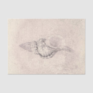 Sea Shell Sepia Vintage Ocean Beach Texture Tissue Paper