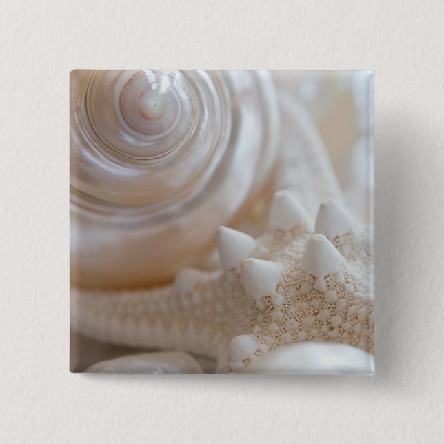 Sea Shell & Starfish Background - Beach Shells 2 Inch Square Button (Front)