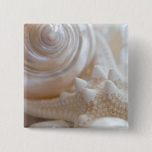 Sea Shell & Starfish Background - Beach Shells 2 Inch Square Button