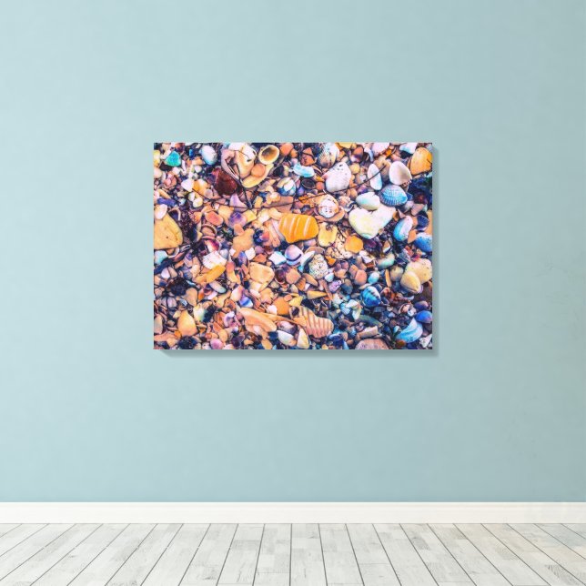 Sea Shells and Pebbles Canvas Print (Insitu(Wood Floor))