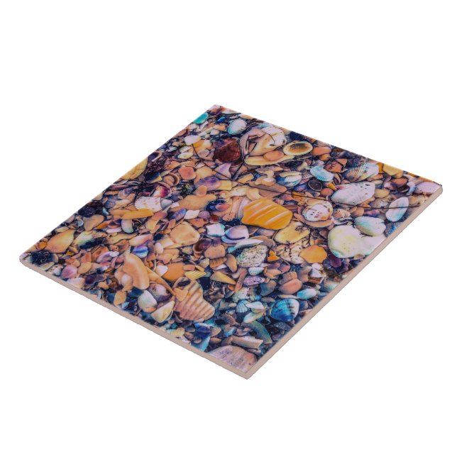 Sea Shells and Pebbles Tile (Side)