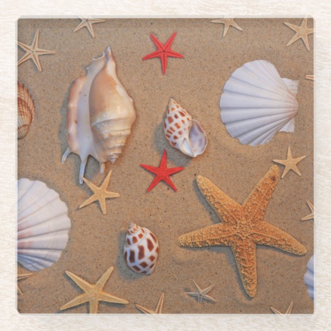 Sea Shells And Starfish Arranged On Sand Glass Coaster (Front)