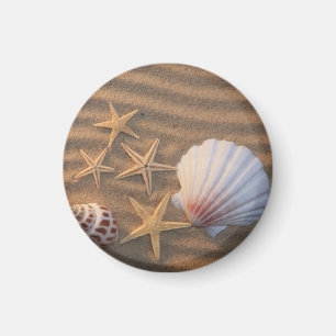 Sea Shells And Starfish Magnet