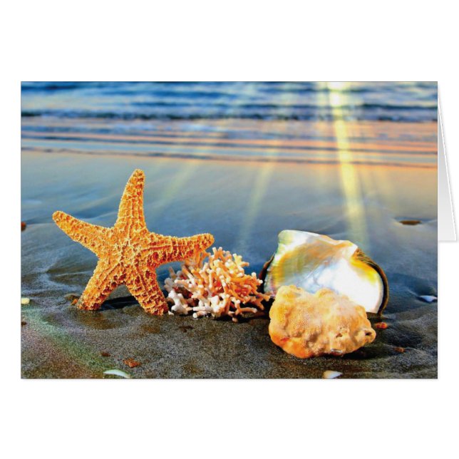 Sea shells and starfish on beach (Front Horizontal)