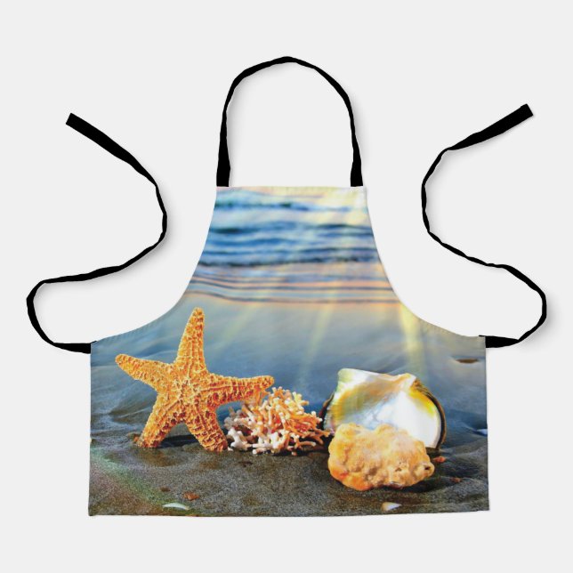 Sea shells and starfish on beach apron (Front)
