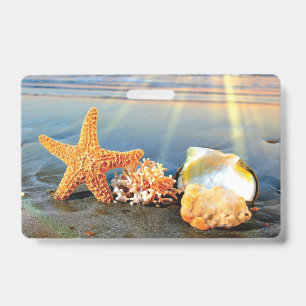 Sea shells and starfish on beach badge