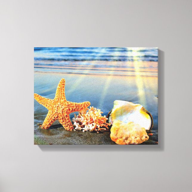 Sea shells and starfish on beach canvas print (Front)