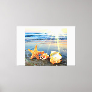 Sea shells and starfish on beach canvas print