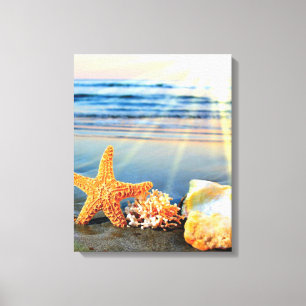 Sea shells and starfish on beach canvas print