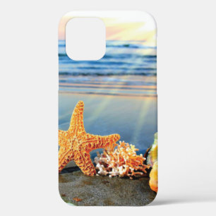 Sea shells and starfish on beach iPhone 12 case
