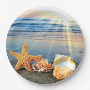 Sea shells and starfish on beach paper plate