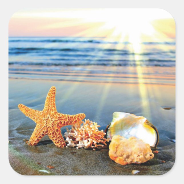 Sea shells and starfish on beach square sticker (Front)