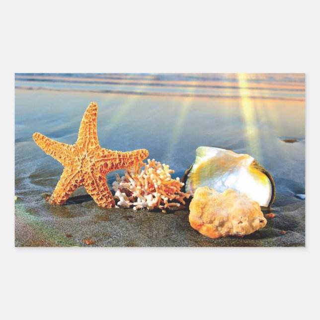 Sea shells and starfish on beach sticker (Front)