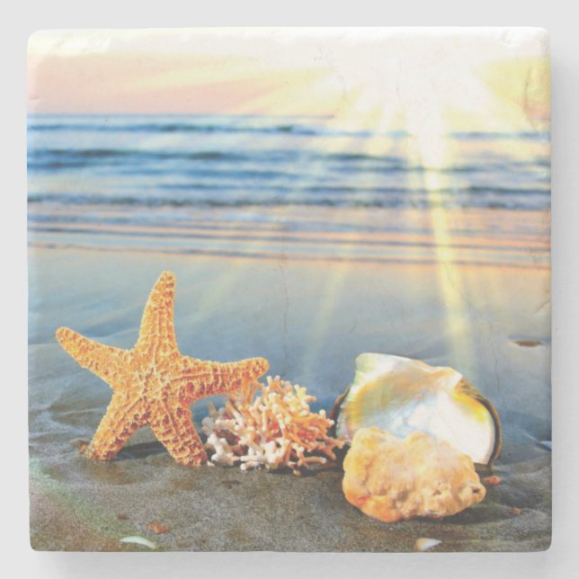 Sea shells and starfish on beach stone coaster (Front)