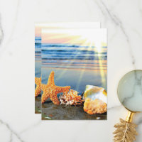 Sea shells and starfish on beach