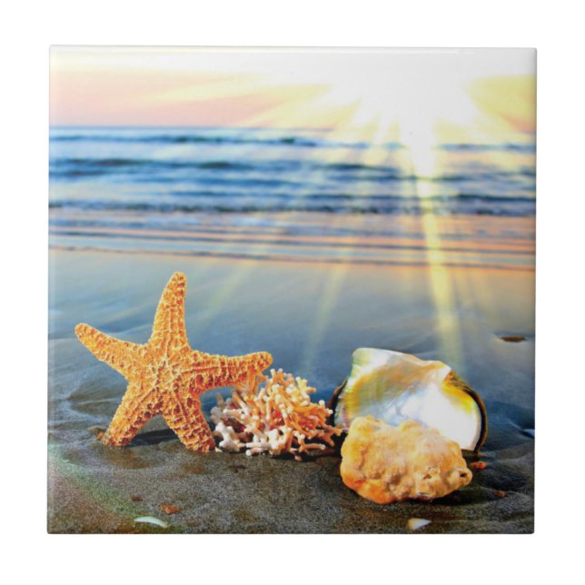 Sea shells and starfish on beach tile (Front)