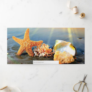 Sea shells and starfish on beach Tri-Fold holiday card
