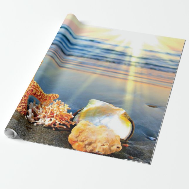 Sea shells and starfish on beach wrapping paper (Unrolled)