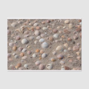 Sea  shells at the beach tissue paper