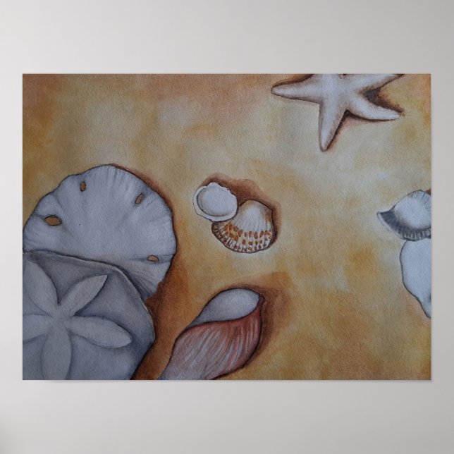 Sea Shells at the Seashore Poster (Front)