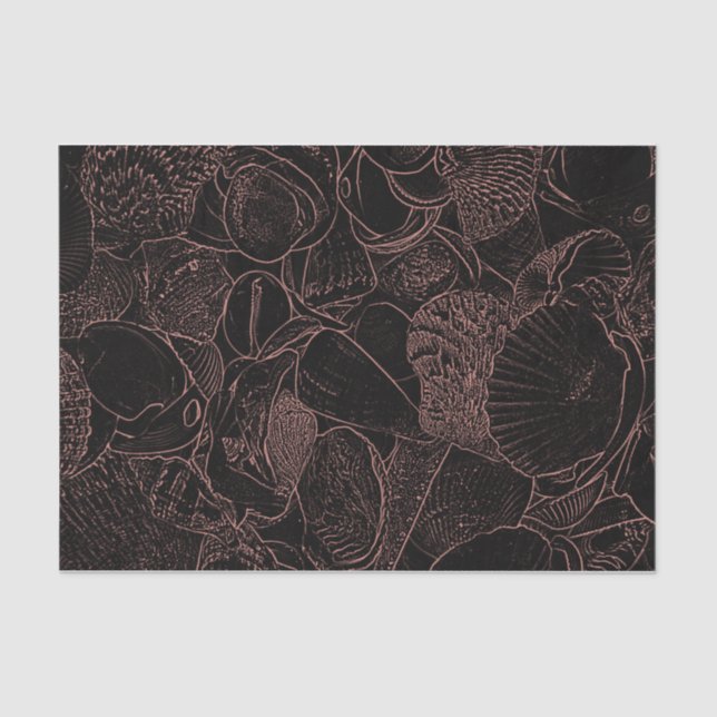 Sea Shells Black Sepia Sketch Art Beach Ocean Tissue Paper (Front)