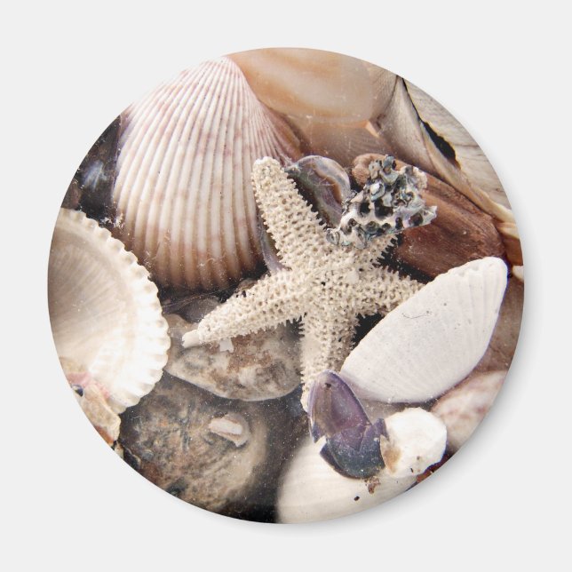 Sea Shells by the Shore Magnet (Front)