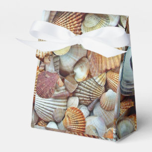 Sea Shells Favor Box