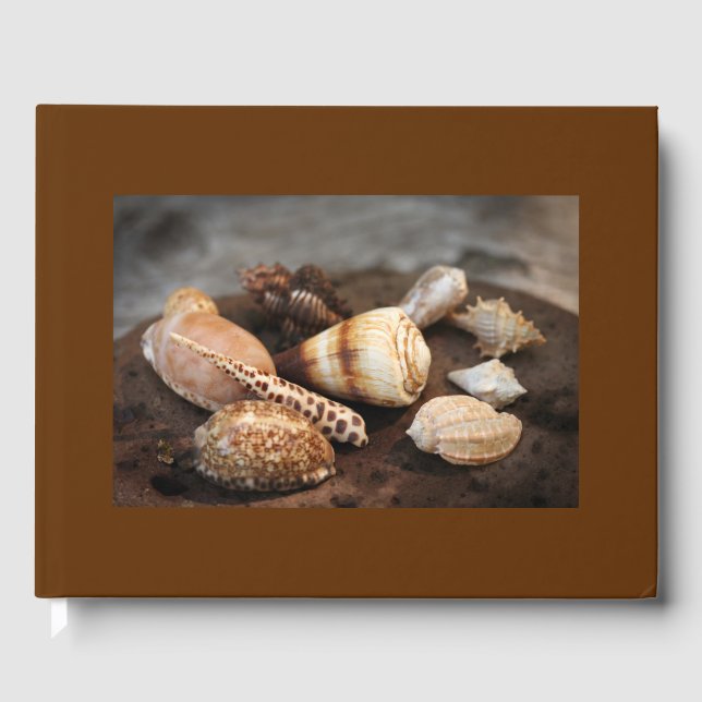 Sea Shells Guest Book (Front)
