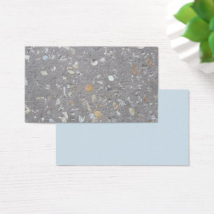 Sea Shells in Concrete