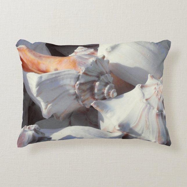 Sea Shells in sunlight and shadow Accent Pillow (Front)