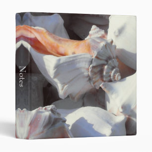 Sea Shells in sunlight and shadow Binder